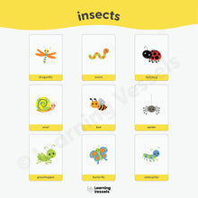 Load image into Gallery viewer, Memory Game Cards (new edition!)