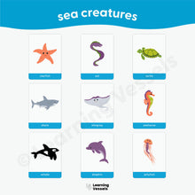 Load image into Gallery viewer, Memory Game Cards (new edition!)